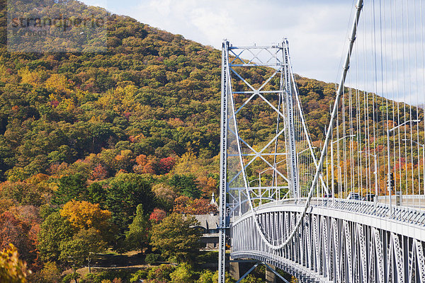Brücke  Herbst  Ansicht