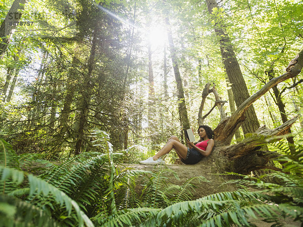 Frau  Buch  Wald  jung  Taschenbuch  vorlesen