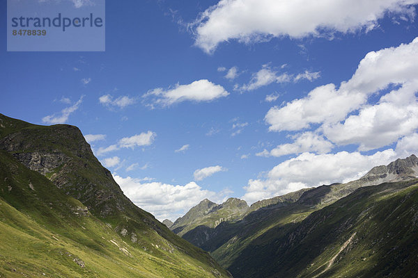 Overviewing Alps