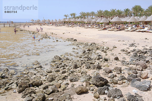 Ebbe am Coral Beach  Sharm el-Sheikh  Gouvernement Dschanub Sina  Ägypten