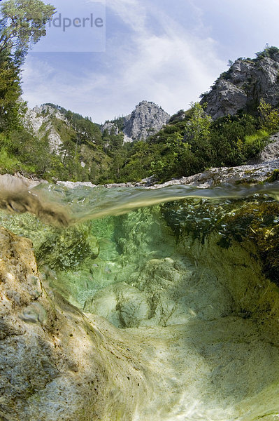 Ötscherbach im Ötschergraben  bei Mitterbach am Erlaufsee  Ybbstaler Alpen  Niederösterreich  Österreich