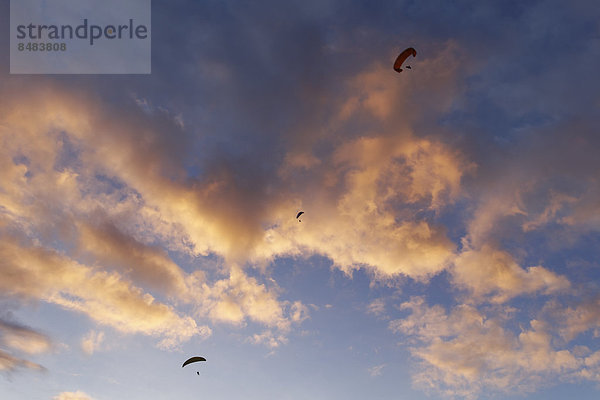 Gleitschirmflieger vor Wolken im Abendrot  Puerto Naos  La Palma  Kanarische Inseln  Spanien