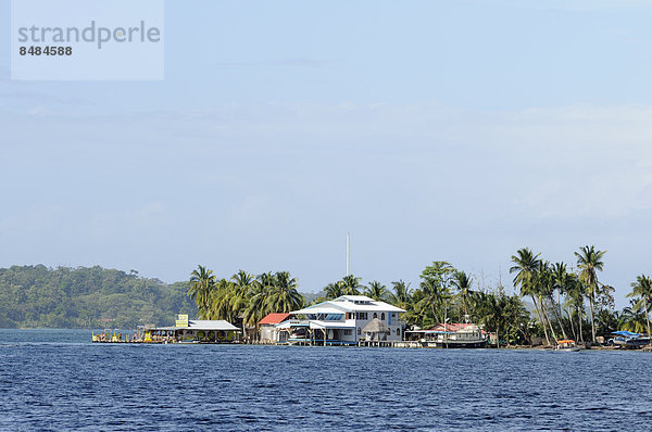 Aqua Lounge Hostel and Bar  Palmenk¸ste  Insel Carenero  Bocas del Toro  Panama