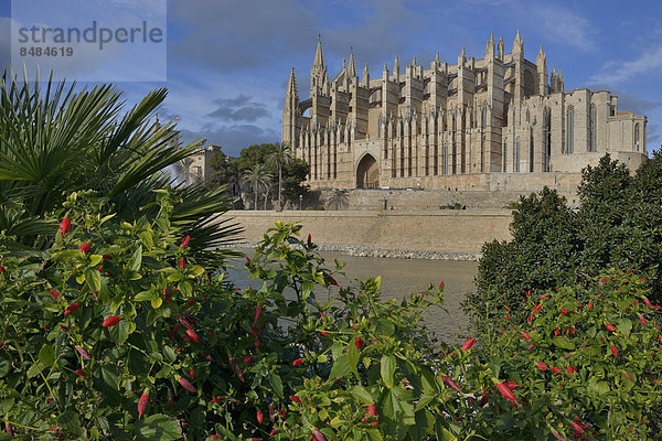 Kathedrale La Seu  Palma  Mallorca  Balearen  Spanien