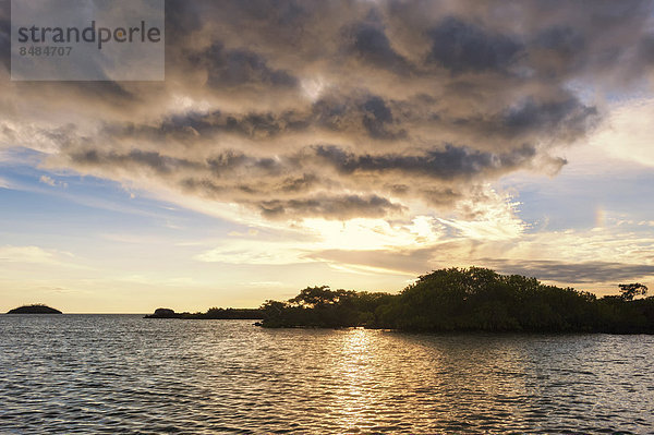 Elizabeth Bay  Insel Isabela  Gal·pagosinseln  Ecuador