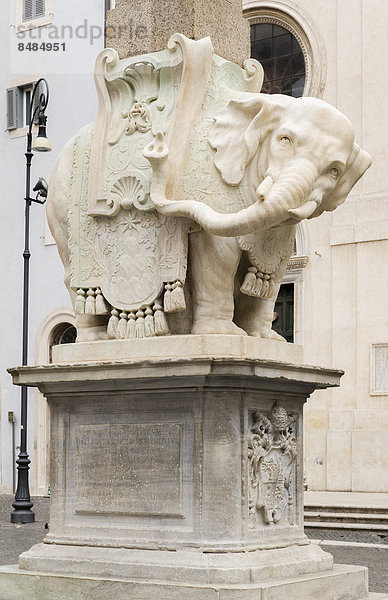 Berninis Elefant  Pulcino della Minerva  Elefantenstatue am Sockel des Obelisks Obelisco della Minerva  Rom  Latium  Italien