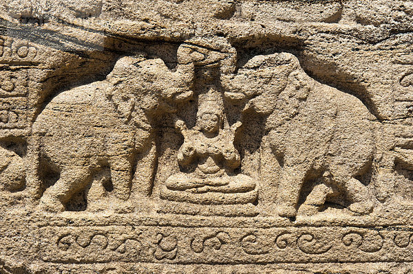 Elefantenrelief  Polonnaruwa  Sri Lanka