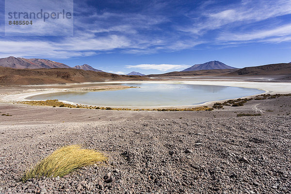 Der See Laguna Honda  Departamento PotosÌ  Altiplano-Hochland  Anden  Bolivien