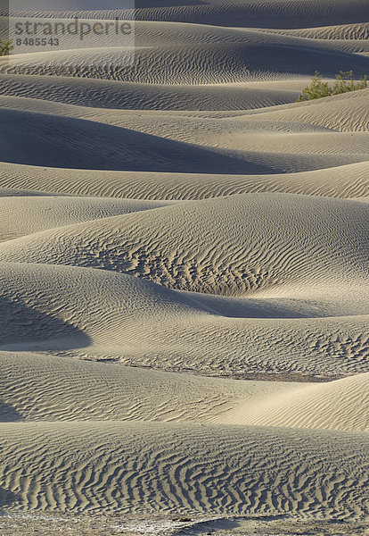 Mesquite Flat Sand Dunes  Sandd¸nen im Death Valley  Death-Valley-Nationalpark  Kalifornien  USA