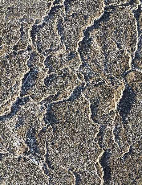 Detailansicht von Salzablagerungen auf den Salzwiesen  Zentralgebiet des Death Valley  Death-Valley-Nationalpark  Kalifornien  USA
