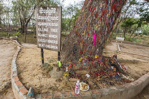 Phnom Penh  Hauptstadt  Baum  unterhalb  Feld  töten  Opfer  rot  Südostasien  Vietnam  Asien  Kambodscha