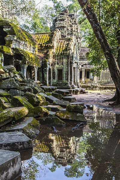 Spiegelung  Südostasien  UNESCO-Welterbe  Vietnam  Angkor  Asien  Kambodscha  Reflections