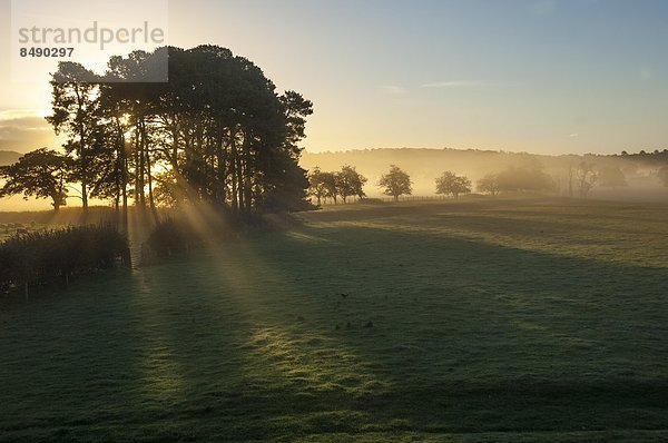 Europa  Großbritannien  Cumbria  England