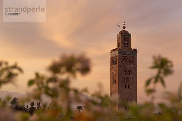 Nordafrika  Morgendämmerung  UNESCO-Welterbe  Marrakesch  Koutoubia-Moschee  Afrika  Minarett  Marokko  Moschee