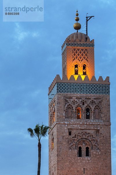 Nordafrika  beleuchtet  Baum  Palme  1  UNESCO-Welterbe  Marrakesch  Koutoubia-Moschee  Afrika  Abenddämmerung  Minarett  Marokko  Moschee