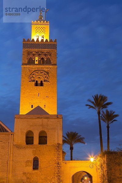 Nordafrika  beleuchtet  Baum  UNESCO-Welterbe  Marrakesch  Koutoubia-Moschee  Afrika  Abenddämmerung  Minarett  Marokko  Moschee