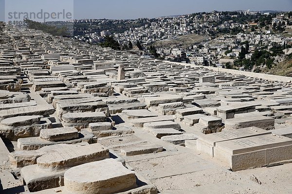 Jerusalem  Hauptstadt  Berg  Olive  Naher Osten  Grabmal  Judentum  Friedhof  Israel