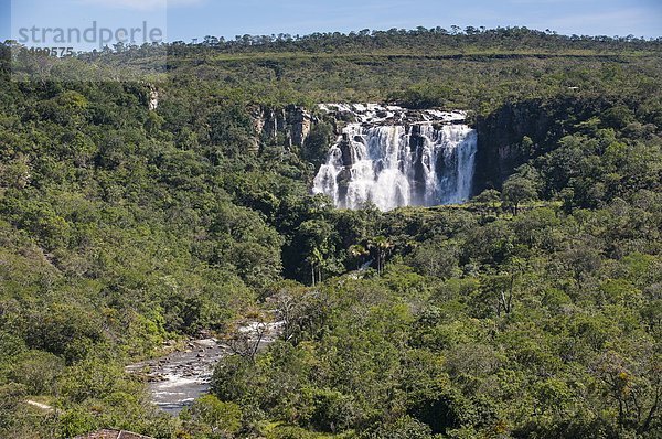 Brasilien  Südamerika