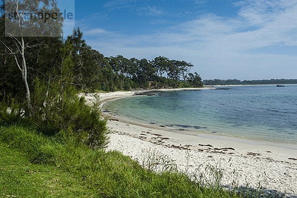 Strand  weiß  Sand  Pazifischer Ozean  Pazifik  Stiller Ozean  Großer Ozean  Australien  Bucht  New South Wales  hübsch
