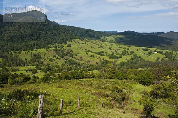 Pazifischer Ozean  Pazifik  Stiller Ozean  Großer Ozean  Ansicht  Australien  New South Wales  Springbrook