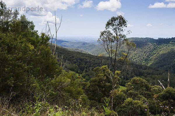 Pazifischer Ozean  Pazifik  Stiller Ozean  Großer Ozean  Ansicht  Australien  New South Wales  Springbrook