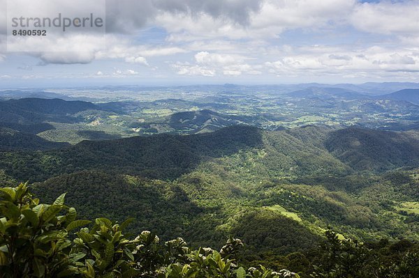 Pazifischer Ozean  Pazifik  Stiller Ozean  Großer Ozean  Ansicht  Australien  New South Wales  Springbrook