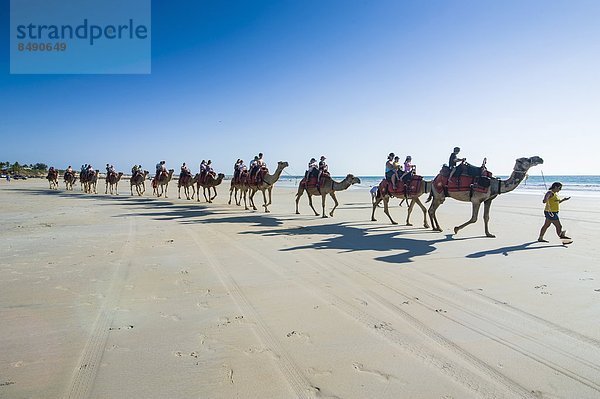 Strand  fahren  Tourist  Pazifischer Ozean  Pazifik  Stiller Ozean  Großer Ozean  Kamel  Australien  Western Australia