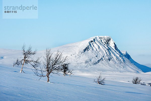 Lappland  Schweden  Winterlandschaft