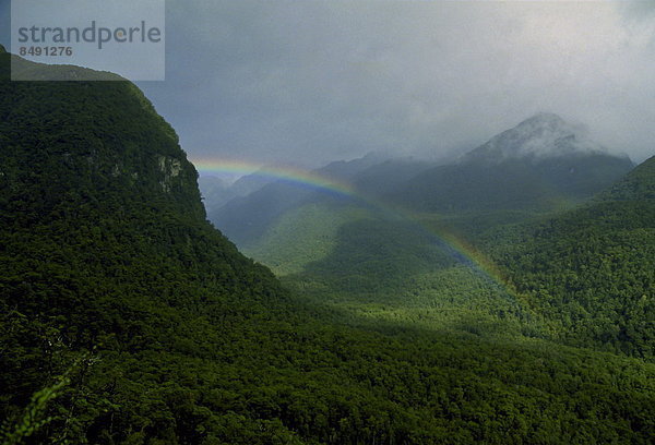 über  Wald  Süden  neuseeländische Südinsel  neu  Regenbogen  Trinkgeld