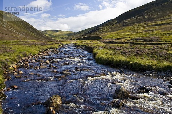 Wasser  Fluss  Tal  Schottland