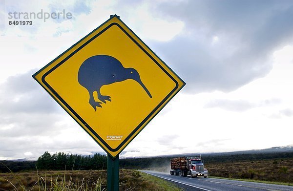 Transport  Fernverkehrsstraße  Zeichen  Lastkraftwagen  hinaussehen  neuseeländische Nordinsel  Fracht  Neuseeland  Signal  Straßenverkehr