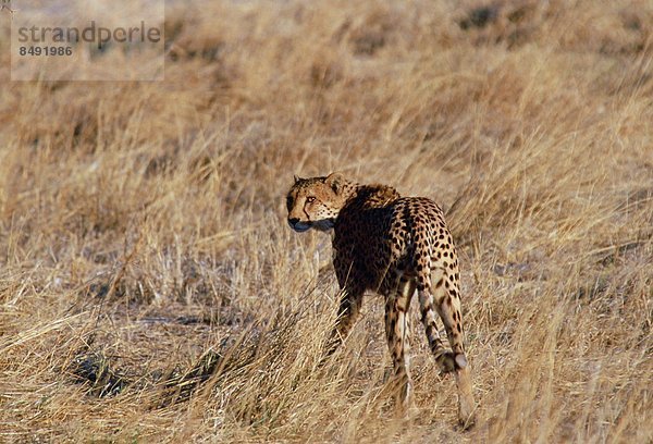 Botswana