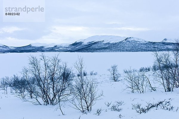 Nacht  See  Landschaftlich schön  landschaftlich reizvoll  Hintergrund  Arktis  Finnland  gefroren  Schweden