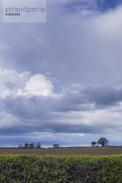 Gepflügtes Feld  Wolke  Großbritannien  über  Sturm  Anordnung  Feld  Frühling  Cotswolds  Oxfordshire