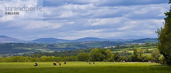 entfernt  Berg  Ansicht  Distanz  Irland