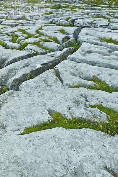 Landschaft  Bürgersteig  Clare County  Karst  Kalkstein