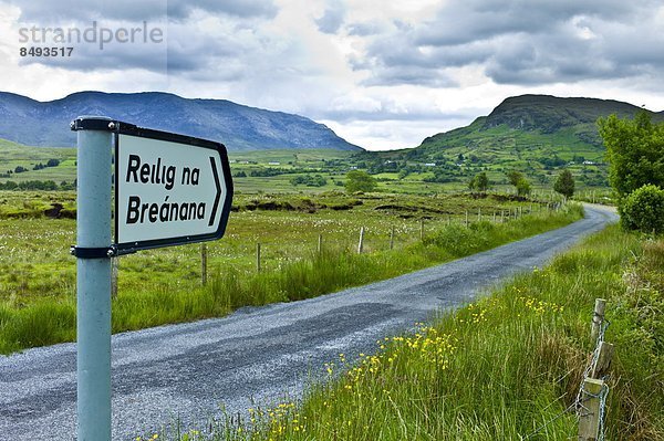 Zeichen  Zimmer  Connemara  County Galway  Irland  Signal