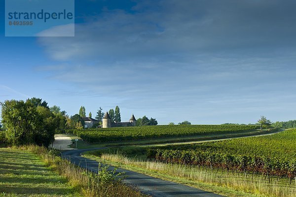 Frankreich  Wein  Reise  Weinberg  Palast  Schloß  Schlösser  Geographie  Bordeaux