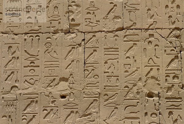 Wand  Halle  groß  großes  großer  große  großen  schnitzen  Ägypten  Tempel von Karnak  Karnaktempel  Luxor