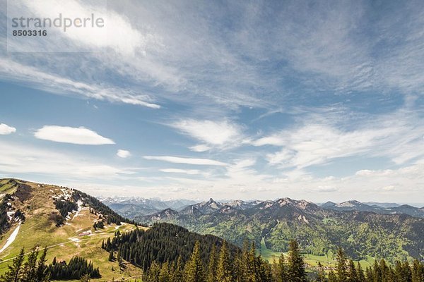 Wallberg  Mangfallgebirge  Bayern  Deutschland