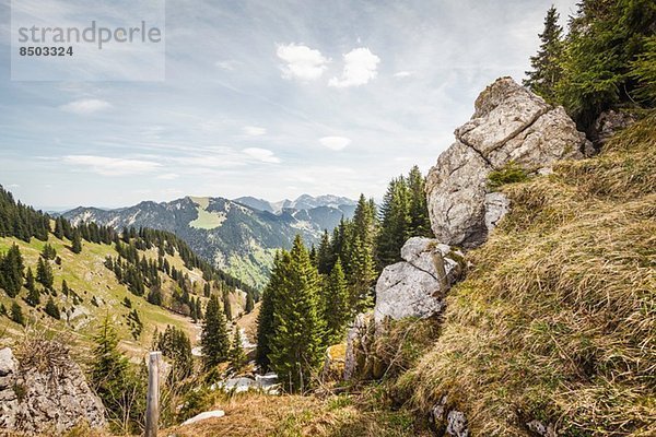 Felsen am Wallberg  Bayern  Deutschland