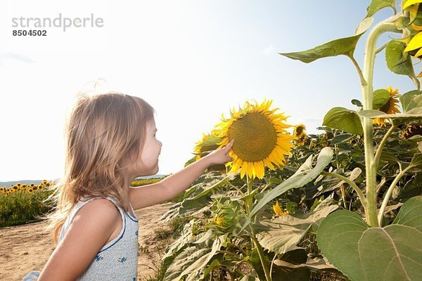 Mädchen zeigt auf Sonnenblume