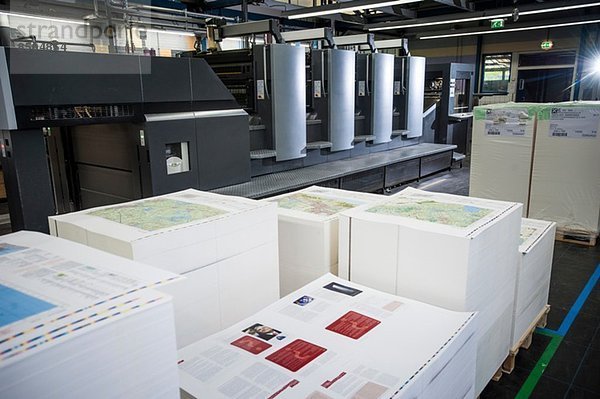 Paletten mit fertigen Druckerzeugnissen im Papierdrucklager