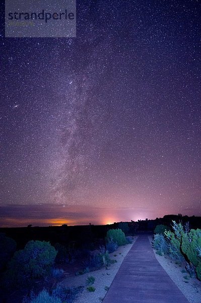 Sterne am Nachthimmel  Moab  Utah  USA
