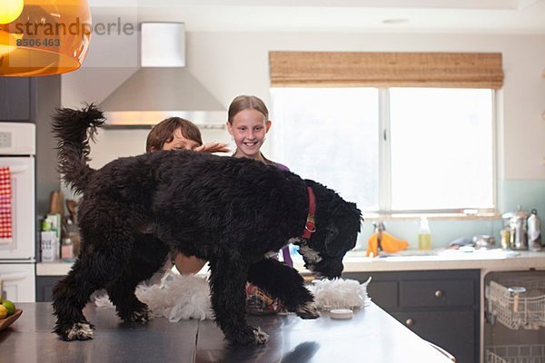 Mutter und Tochter spielen mit Hund auf der Küchenzeile