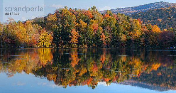 Herbstbäume mit Spiegelung im See  Sally's Pond  West Bolton  Eastern Townships  Quebec  Kanada