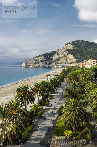 Palmenallee  Strandpromenade  Finale Ligure  Provinz Savona  Ligurien  Italien