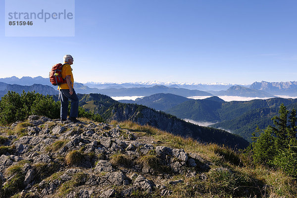 Wanderer genießt Ausblick  Hohe Tauern vom Hochfelln  Bergen  Chiemgauer Alpen  Oberbayern  Bayern  Deutschland