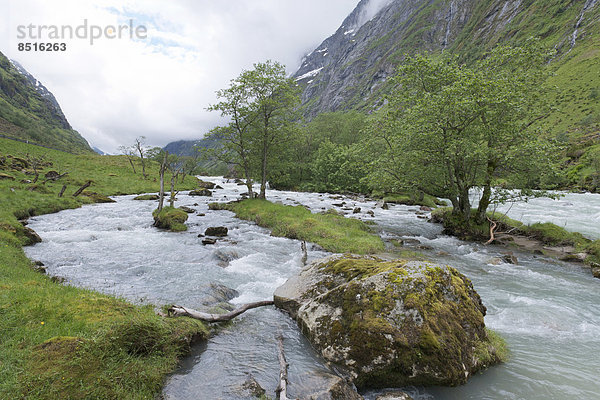 Natürliches Flusstal  Fluss Driva  Sunndal-Tal  Norwegen