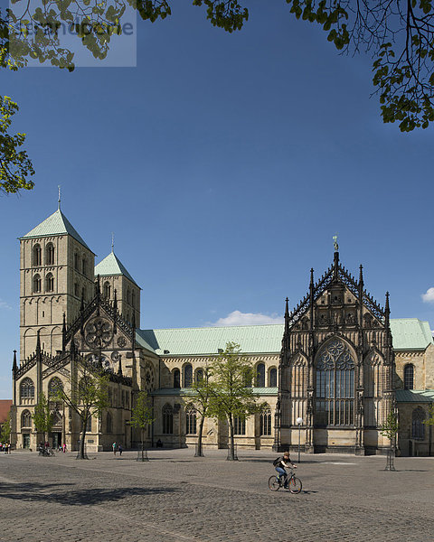 Südliche Schaufront zum Domplatz  St.-Paulus-Dom  Münster  Nordrhein-Westfalen  Deutschland